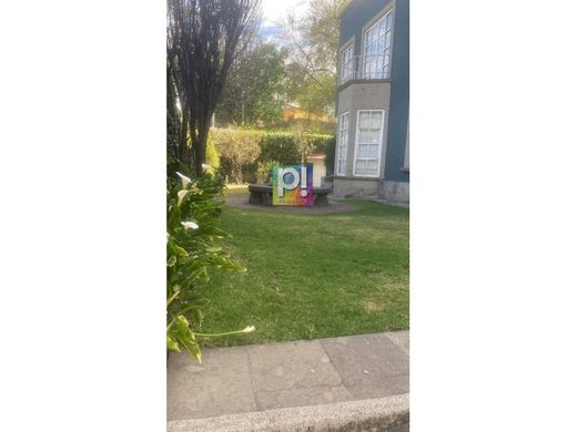 Miguel Hidalgo, Ciudad de Méxicoの高級住宅