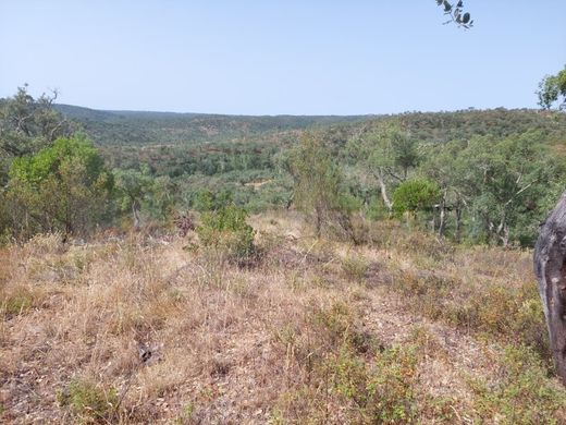 Grândola, Distrito de Setúbalの土地