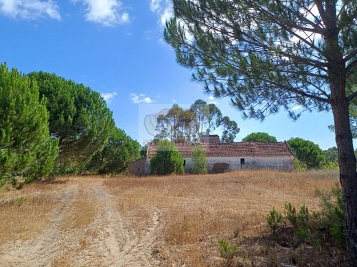 Grândola, Distrito de Setúbalの農園