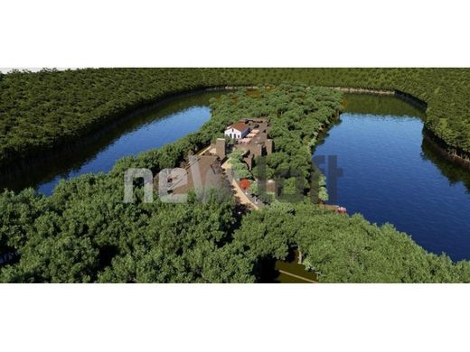 Luxury home in Penacova, Distrito de Coimbra