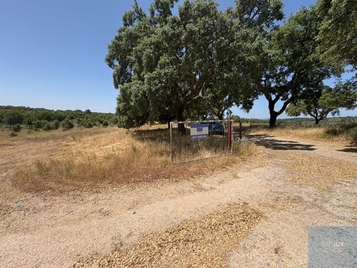 Terrain à Castelo Branco, Distrito de Castelo Branco