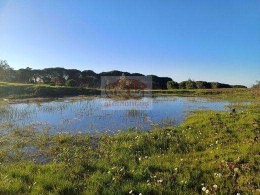 Land in Grândola, Distrito de Setúbal