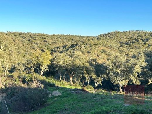 Finca en Almodôvar, Beja