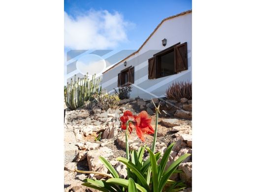 Tuineje, ラスパルマスのヴィラ