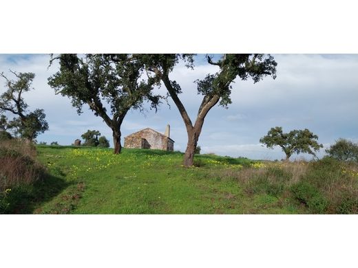 Farma w Grândola, Distrito de Setúbal