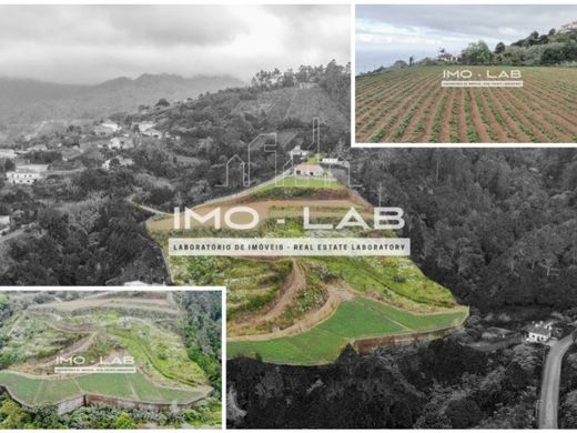 토지 / Santana, Madeira