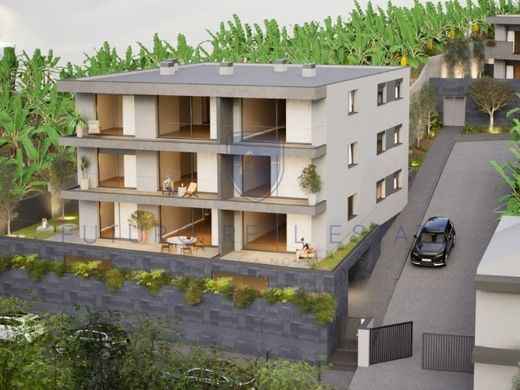 Apartment in Câmara de Lobos, Madeira