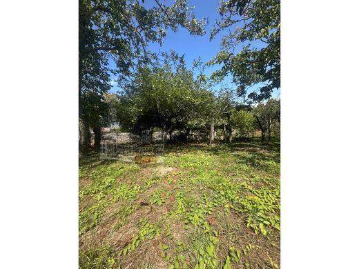 Элитный дом, Matosinhos, Distrito do Porto