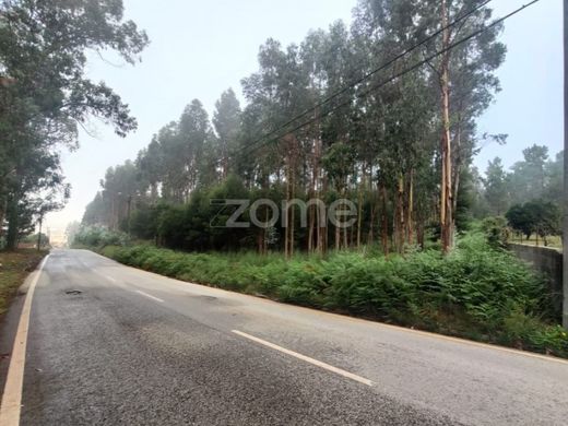 Teren w Santa Maria da Feira, Distrito de Aveiro