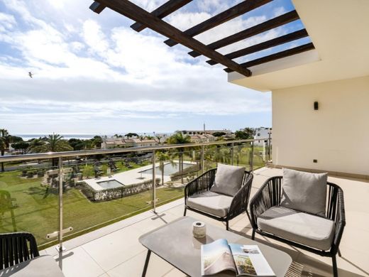 Daire Albufeira, Distrito de Faro