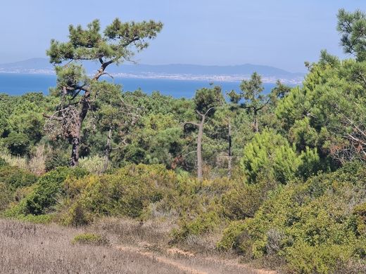 Land in Sesimbra, Distrito de Setúbal