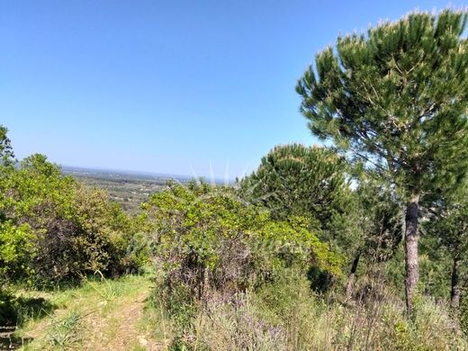 Terrain à Grândola, Distrito de Setúbal