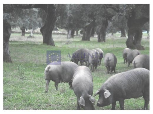 Landhaus / Bauernhof in Don Benito, Badajoz