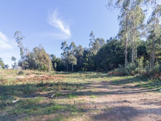 Terreno en Santa Maria da Feira, Aveiro