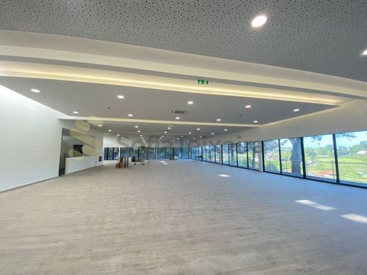 Luxe woning in Penafiel, Distrito do Porto