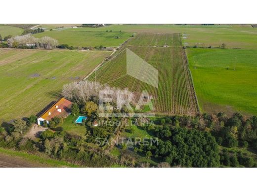 Luxus-Haus in Almeirim, Santarém