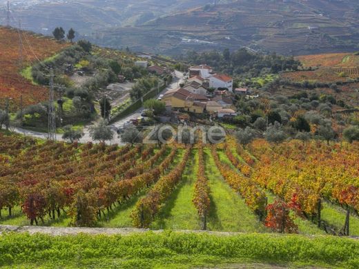Luxury home in Peso da Régua, Distrito de Vila Real