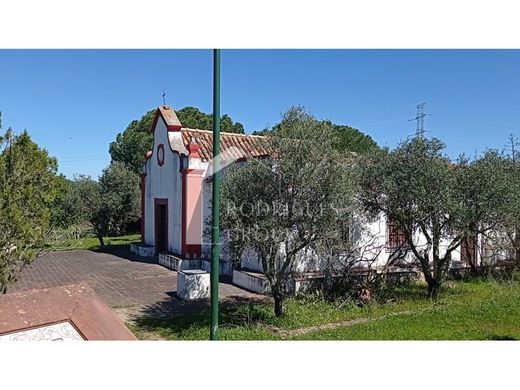 Fazenda - Silves, Faro