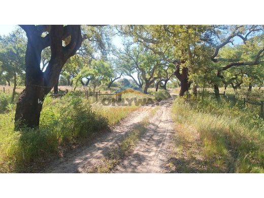 Поместье, Ferreira do Alentejo, Distrito de Beja