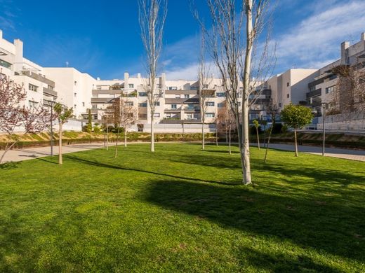 Piso / Apartamento en Madrid, Provincia de Madrid