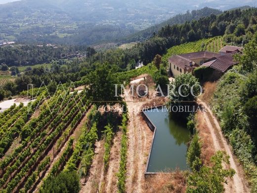 ﻣﻨﺰﻝ ﺭﻳﻔﻲ/ ﺑﻴﺖ ﻤﺰﺭﻋﺔ ﻓﻲ Cabeceiras de Basto, Distrito de Braga