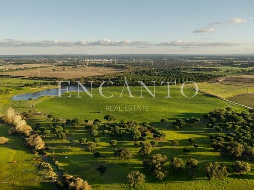 Farm in Palmela, Distrito de Setúbal