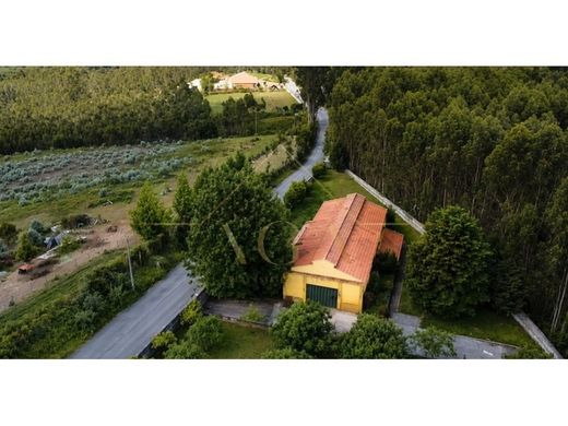 Luxury home in Santa Maria da Feira, Aveiro