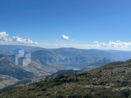 Terrain à Sabrosa, Distrito de Vila Real