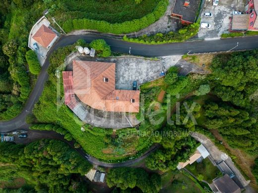 단독 저택 / Machico, Madeira