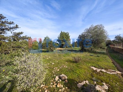 Land in Sant Antoni de Portmany, Province of Balearic Islands