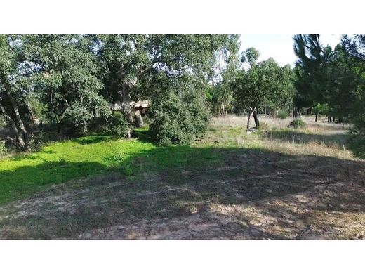 地皮  Grândola, Distrito de Setúbal