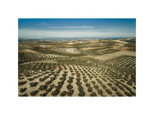Ρουστίκ ή Αγροικίες σε Orihuela, Provincia de Alicante