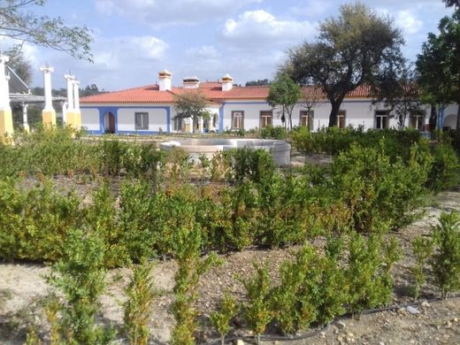 Casa de lujo en Almeirim, Santarém