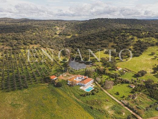 Finca en Montemor-o-Novo, Montemor-O-Novo