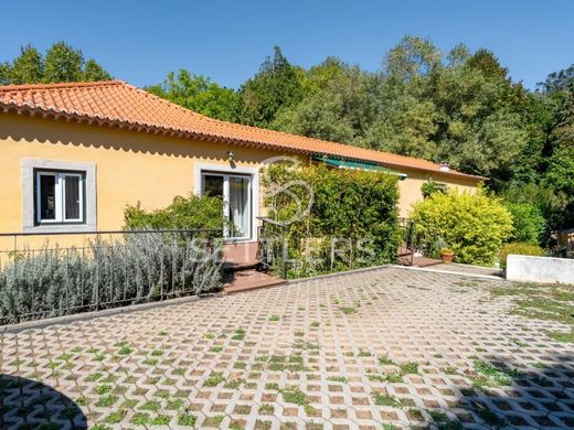 Detached House in Sintra, Lisbon