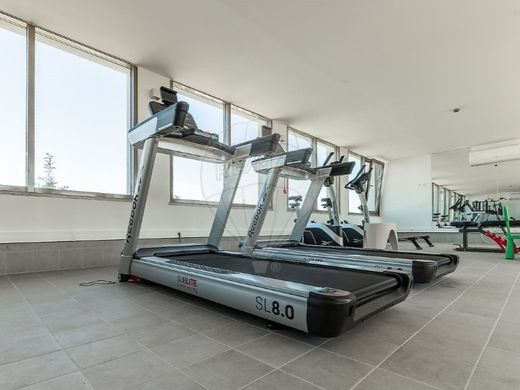 Daire Oeiras, Distrito de Lisboa