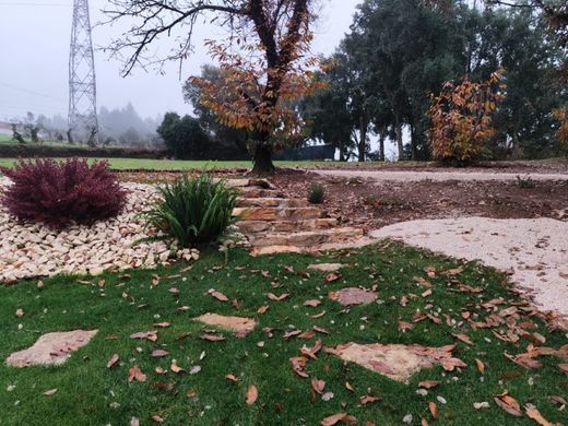 ﻣﻨﺰﻝ ﺭﻳﻔﻲ/ ﺑﻴﺖ ﻤﺰﺭﻋﺔ ﻓﻲ Ferreira do Zêzere, Distrito de Santarém