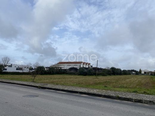 Land in Mealhada, Aveiro