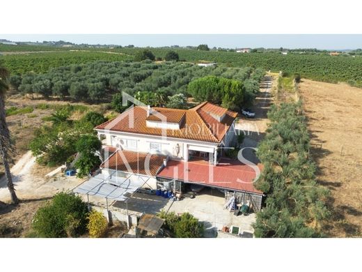 Luksusowy dom w Cartaxo, Distrito de Santarém