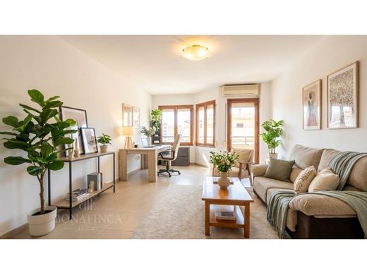 Apartment in Palma de Mallorca, Province of Balearic Islands