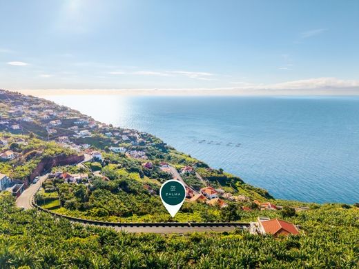 Участок, Ribeira Brava, Madeira