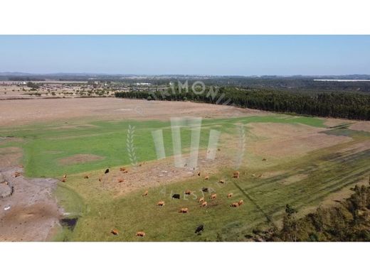 农场  Odemira, Distrito de Beja