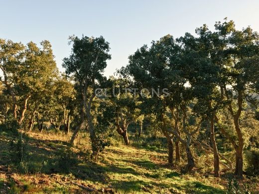 Terreno en Santiago do Cacém, Setúbal