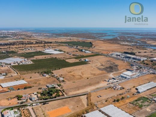 호화 저택 / Faro, Distrito de Faro