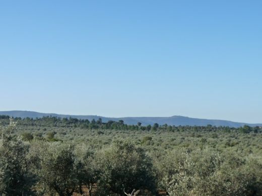 Land in Borba, Distrito de Évora