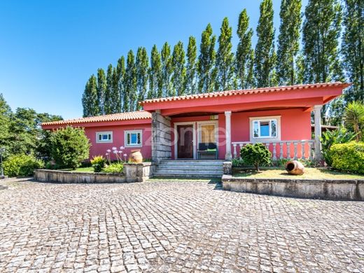 Элитный дом, Майя, Maia