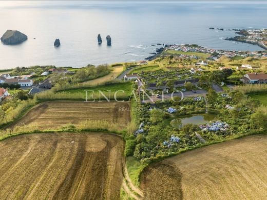 地皮  Ponta Delgada, Azores