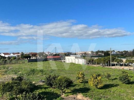 Terreno - Benavente, Santarém