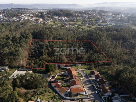 Land in Santa Maria da Feira, Aveiro
