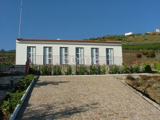 Luksusowy dom w São João da Pesqueira, Distrito de Viseu